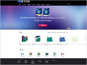 軟件公司網(wǎng)站模板,軟件企業(yè)網(wǎng)站建設(shè)