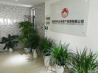 深圳市利達(dá)來資產(chǎn)管理 企業(yè)管理咨詢的專業(yè)化探索與實踐